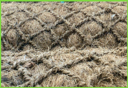 Coir Log